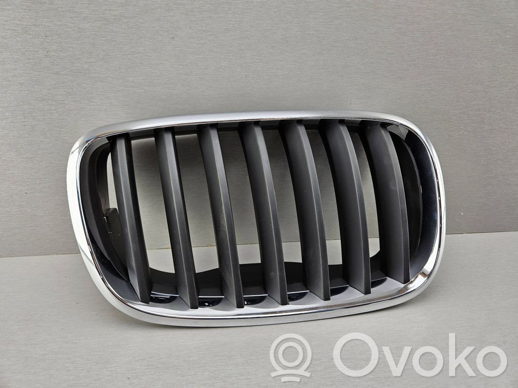 BMW X5 E70 Oberes Gitter vorne 