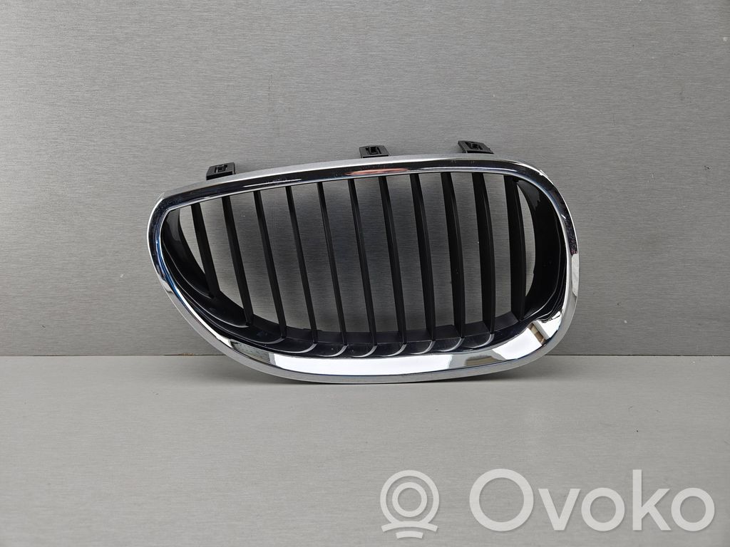 Front grill   7027062,51137027062