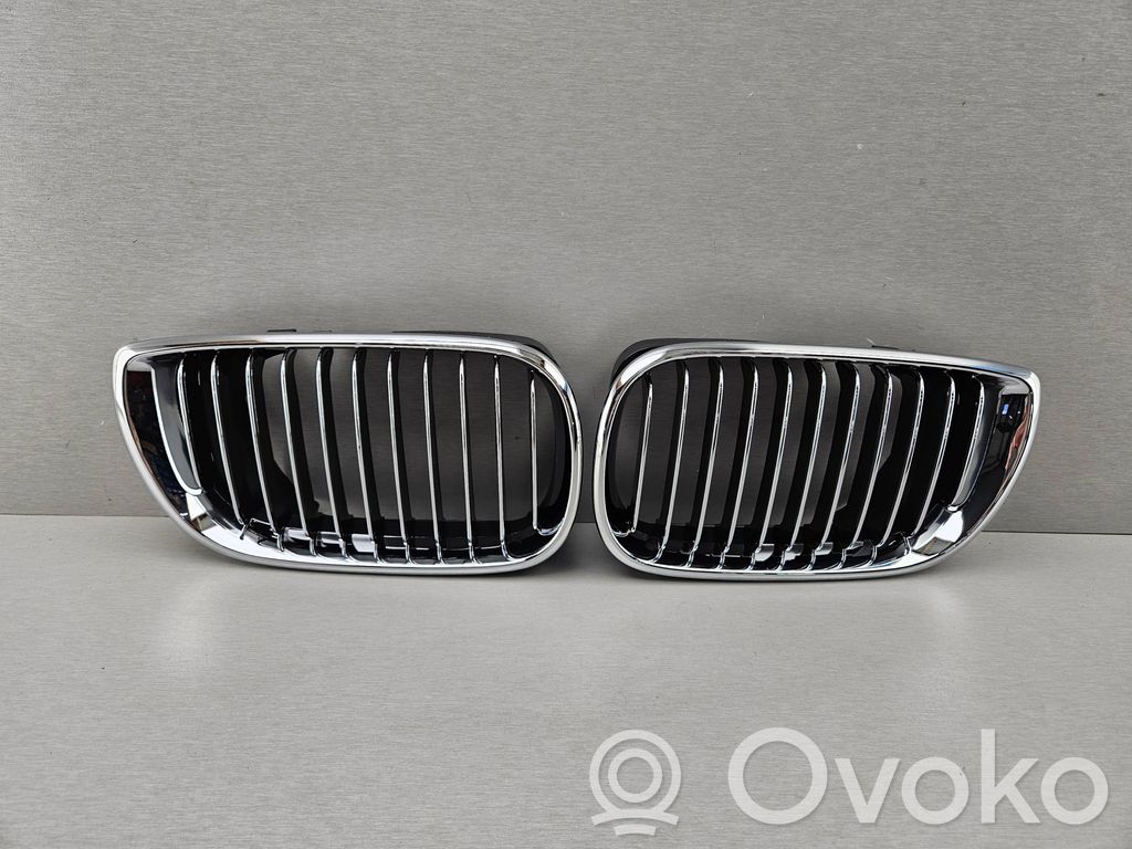 BMW 3 E46 Oberes Gitter vorne 