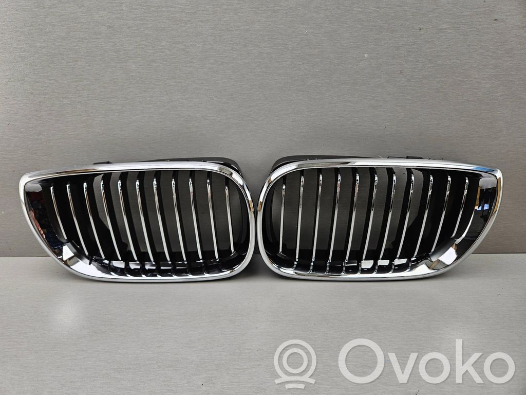 BMW 3 E46 Oberes Gitter vorne 