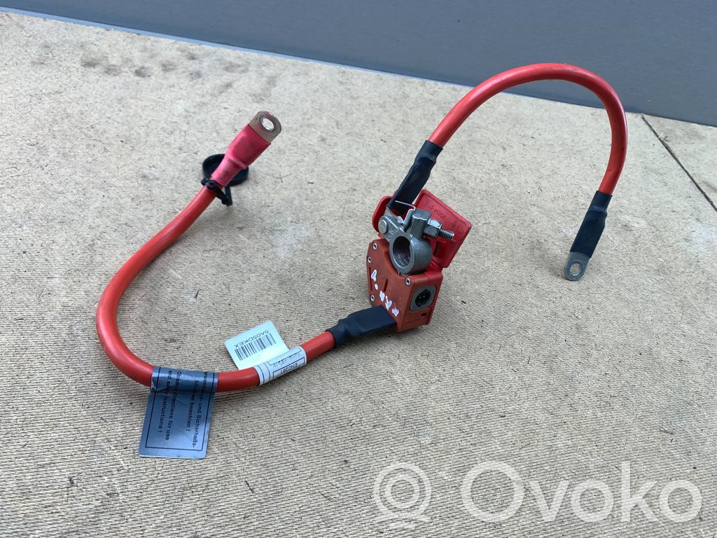 BMW 3 F30 F35 F31 Cable positivo (batería) 