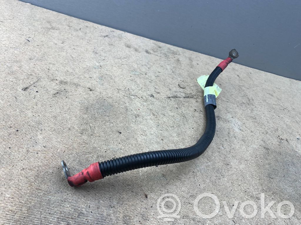 Cables (alternador)   7789222,12527789222