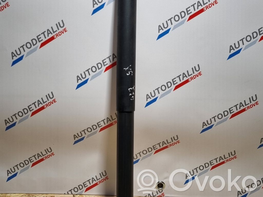 BMW X5 E70 Tailgate strut 