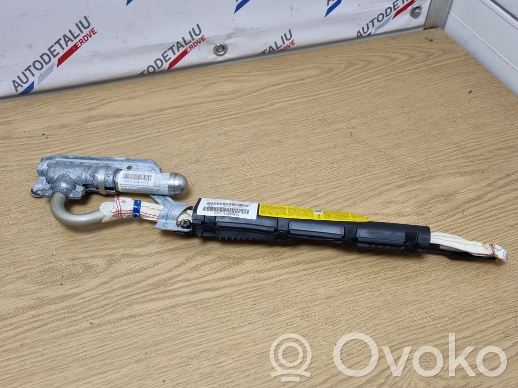 BMW X5 E53 Airbag del techo 