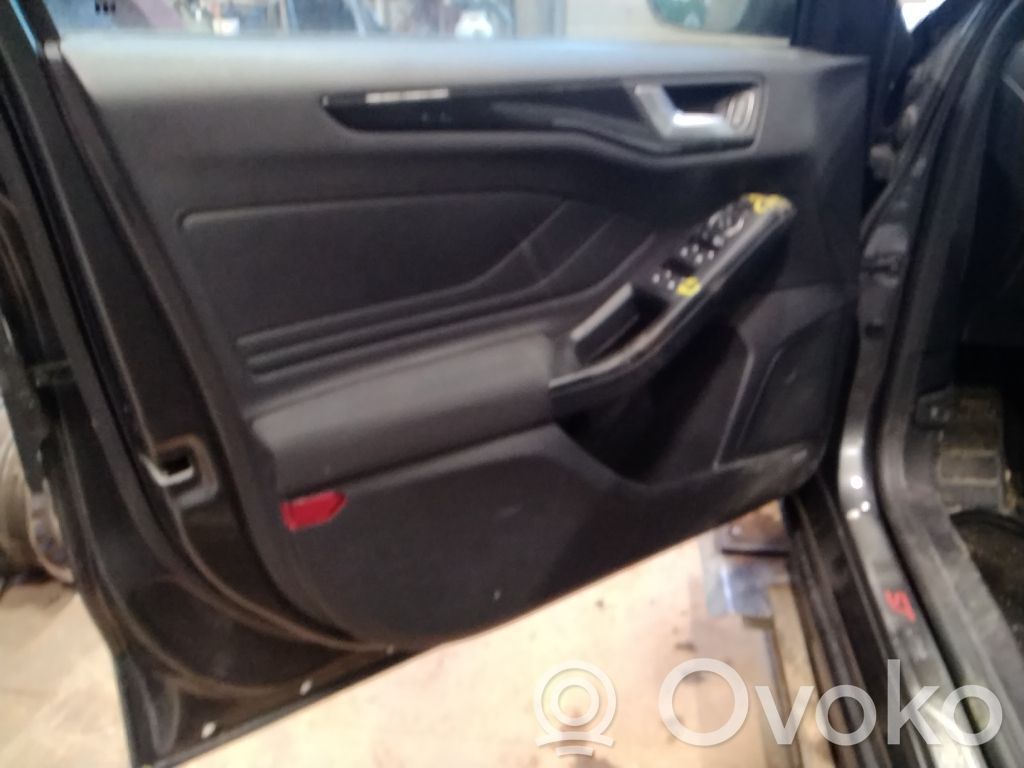 Rear door card panel trim   2464262