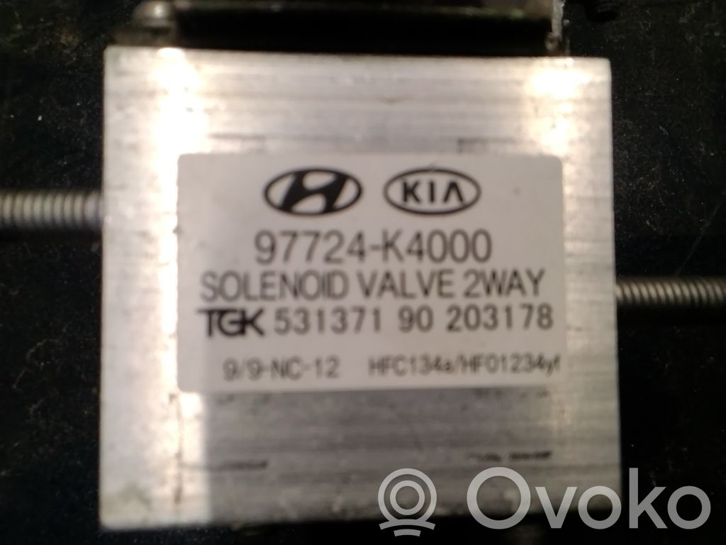 Altre centraline/moduli   97724K4000
