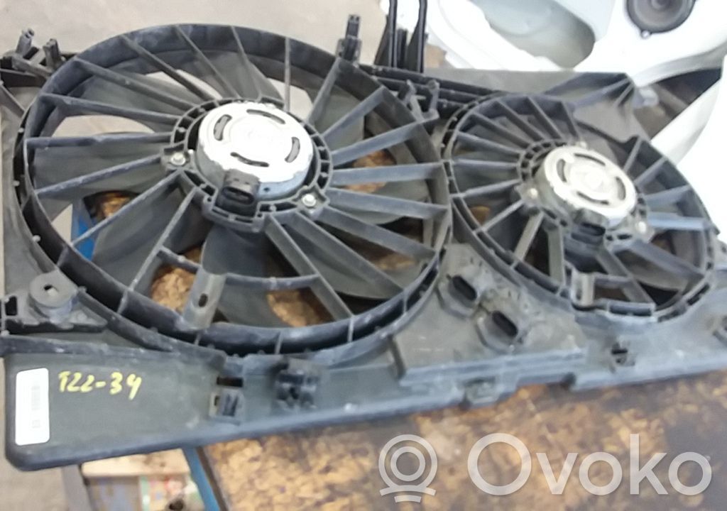 Elektrinis radiatorių ventiliatorius   214812564R