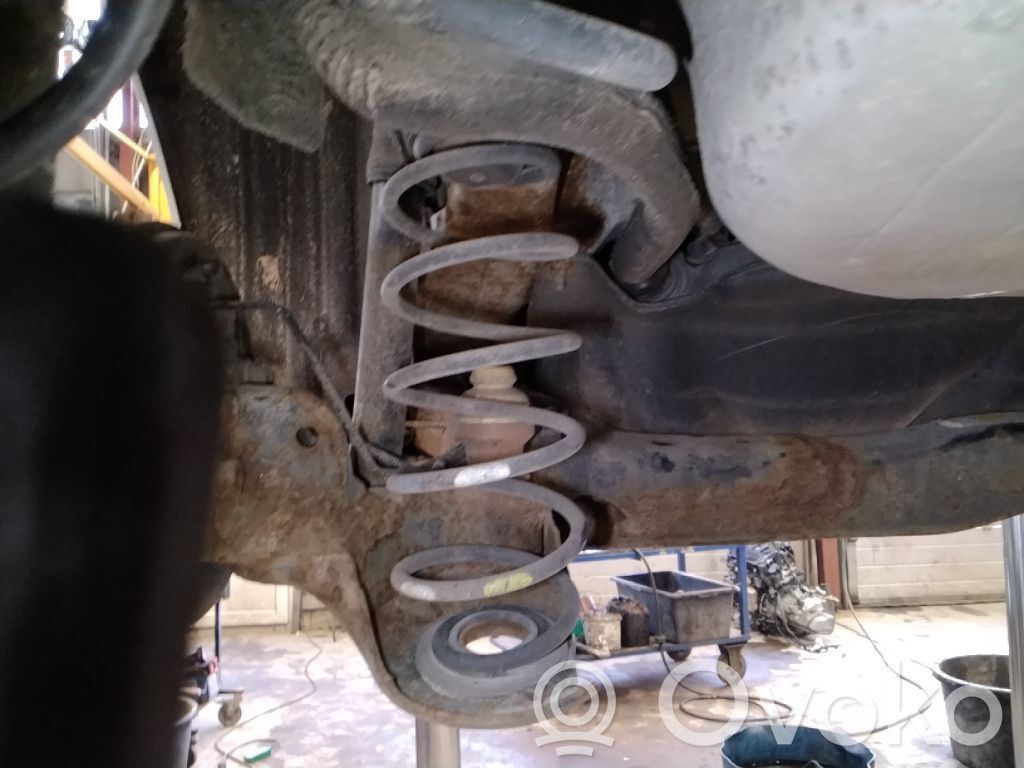 Rear coil spring   5102CV