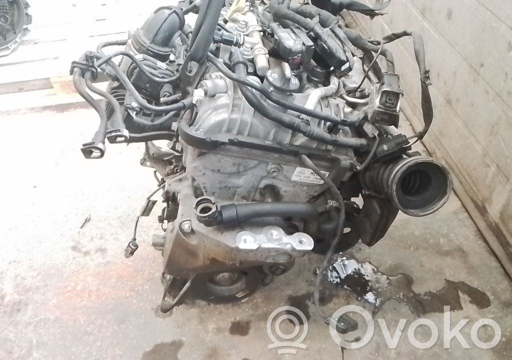 Motor   55492637