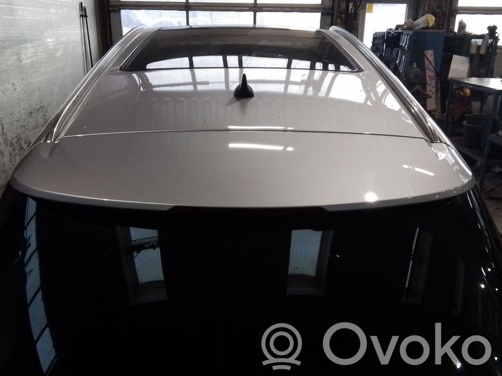 Tailgate/trunk spoiler   13283374