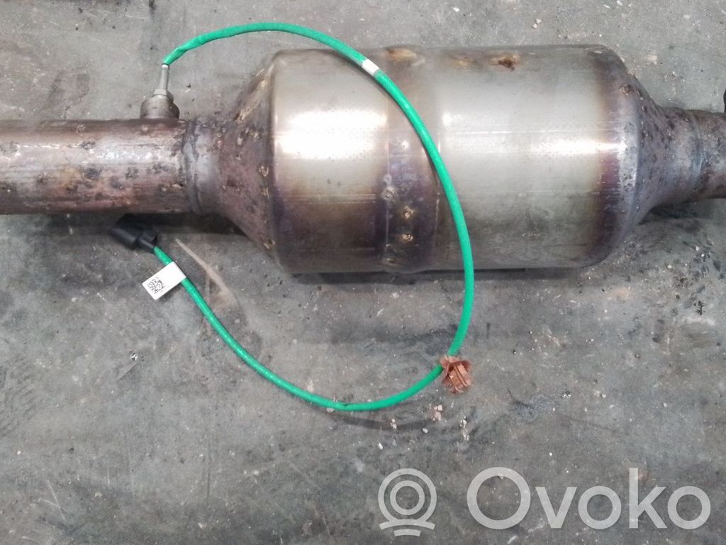 Catalyst/FAP/DPF particulate filter   2497225