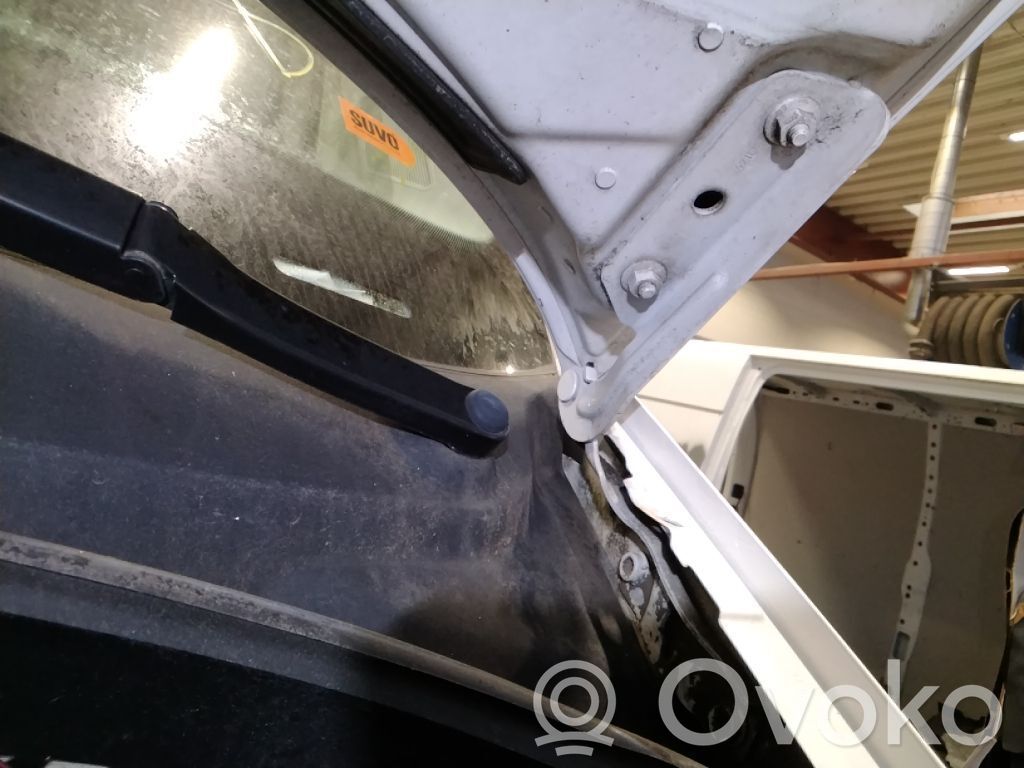 Volkswagen Crafter Cerniere del vano motore/cofano 