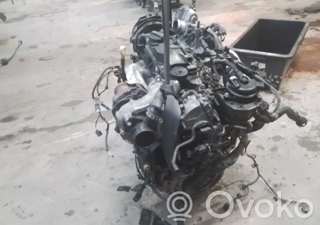 Variklis   2433073