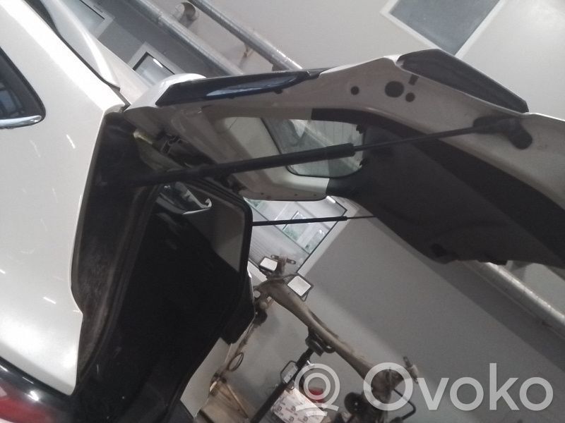 Tailgate/trunk strut/damper   2065247