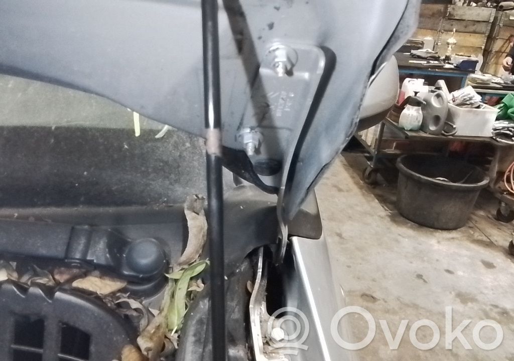 Engine bonnet/hood hinges   7912F3
