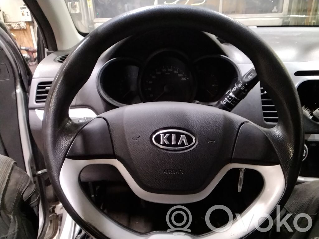 Steering wheel airbag   561101Y1008O