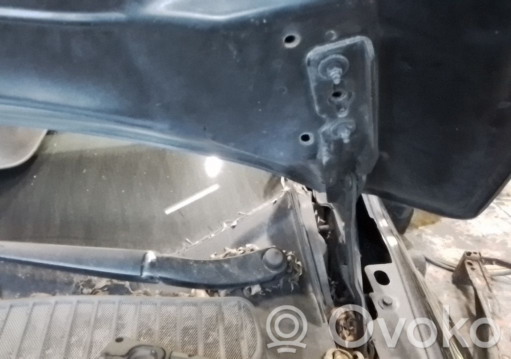 Ford Grand C-MAX Engine bonnet/hood hinges 