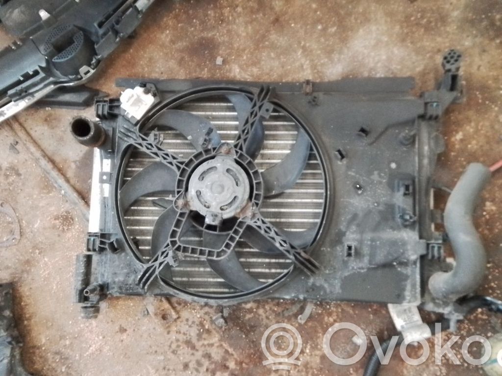 Elektrisks radiatoru ventilators   13263552