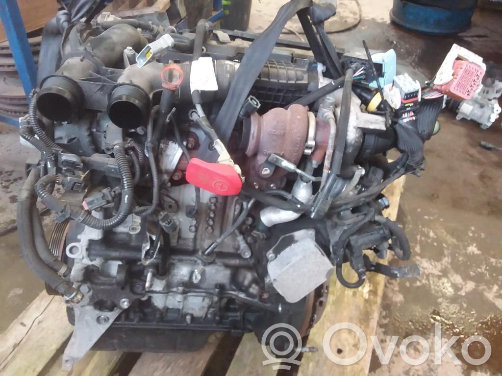Motor   0135SW