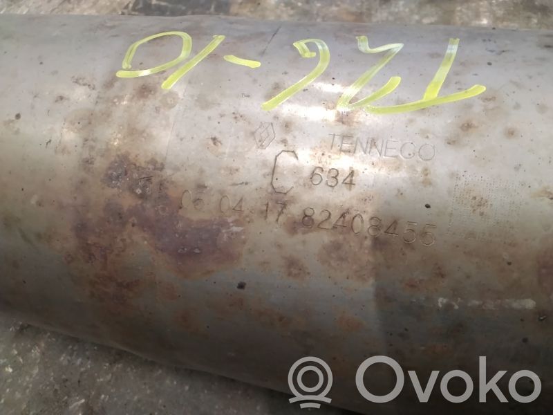 Catalyst/FAP/DPF particulate filter   201005021R
