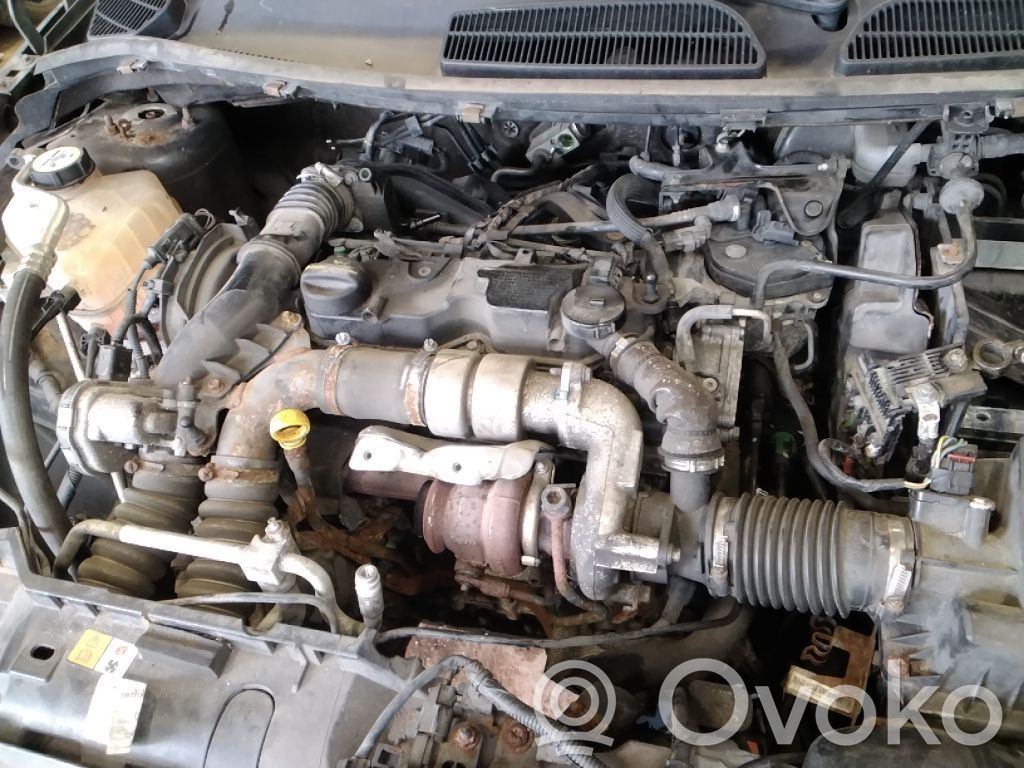 Ford Fiesta Motor 