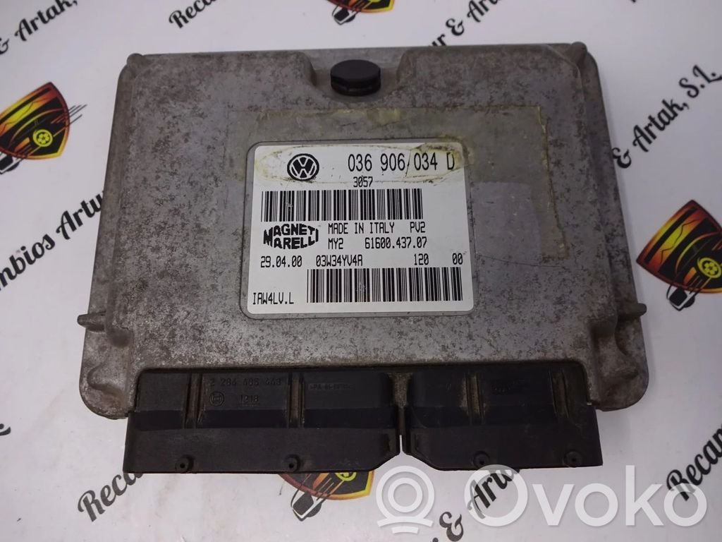Seat Ibiza III (6L) Electric power steering pump 