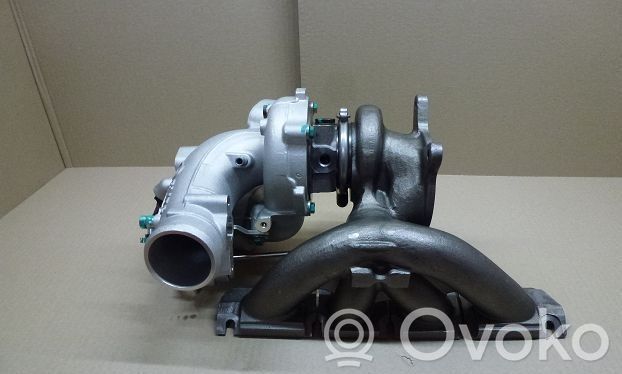 Turbina   40006261,401TN100161