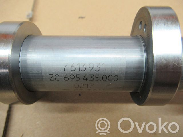 Nockenwelle   7613931T,7613931