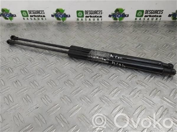 Amortiguador del maletero/compartimento de carga   BLB,8E9827552G01S