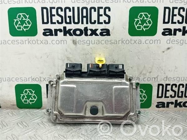 Engine control unit/module ECU   NFU