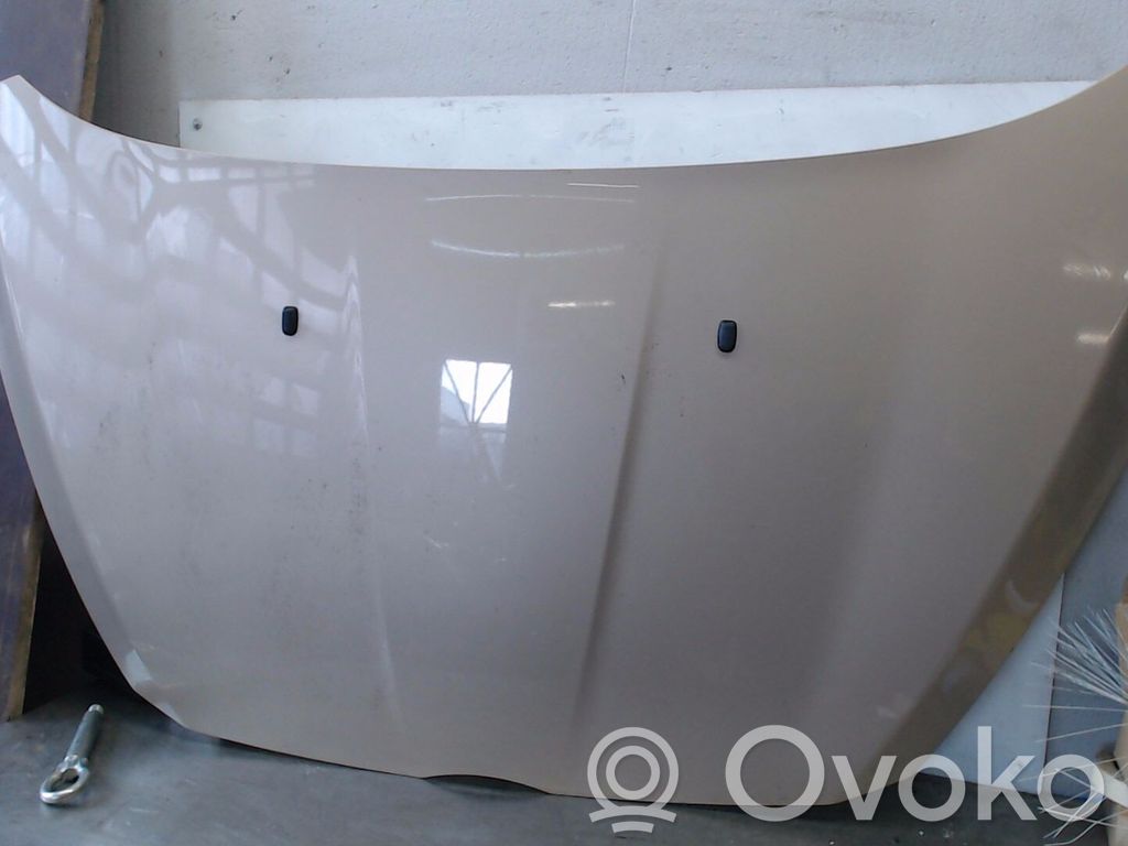 Engine bonnet/hood   2100964,1939276