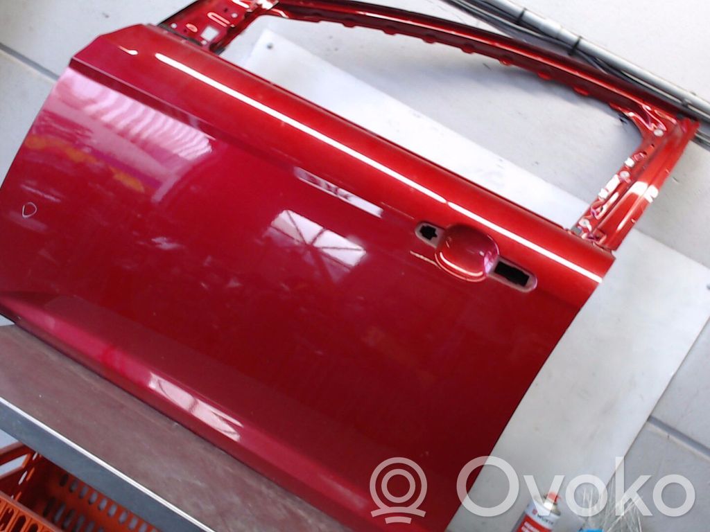 Ford Focus Front door 