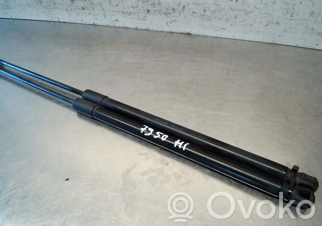 Tailgate/trunk strut/damper   4M51N406A10AD
