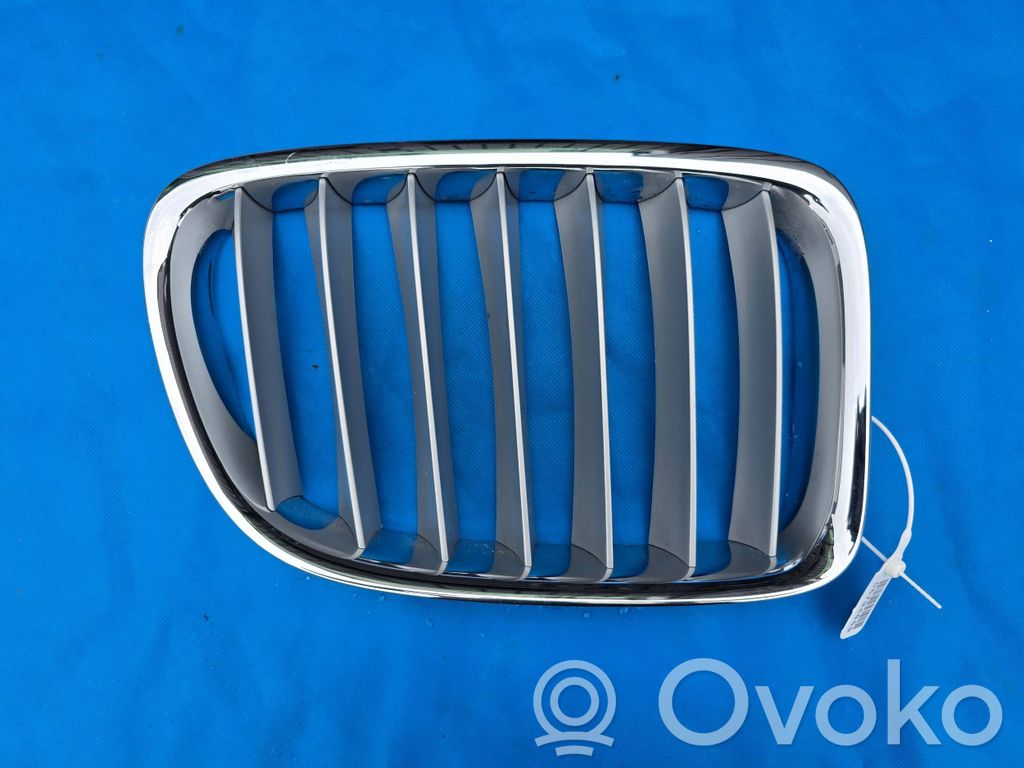 Oberes Gitter vorne   2993308