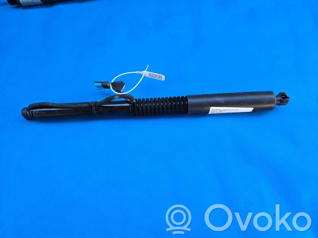 Tailgate strut   7397322