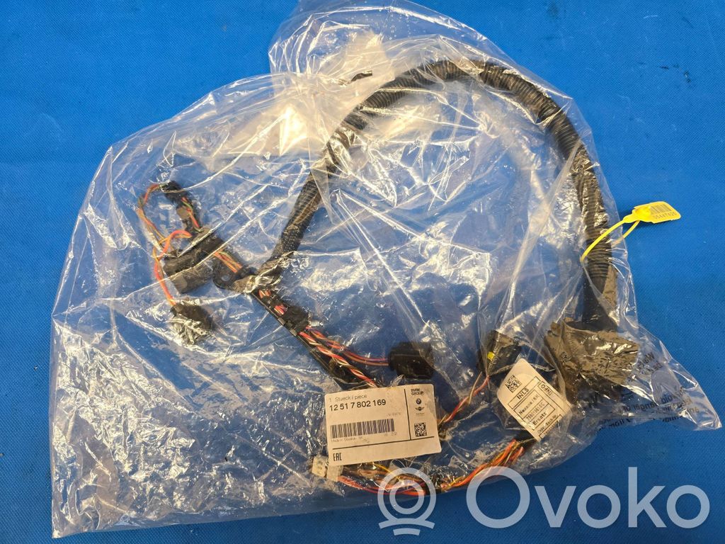 Engine installation wiring loom   7802169
