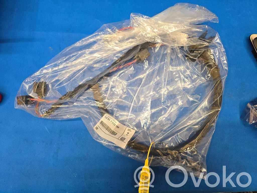 Engine installation wiring loom   7802169