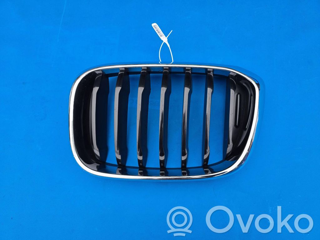 BMW X4 G02 Front grill 