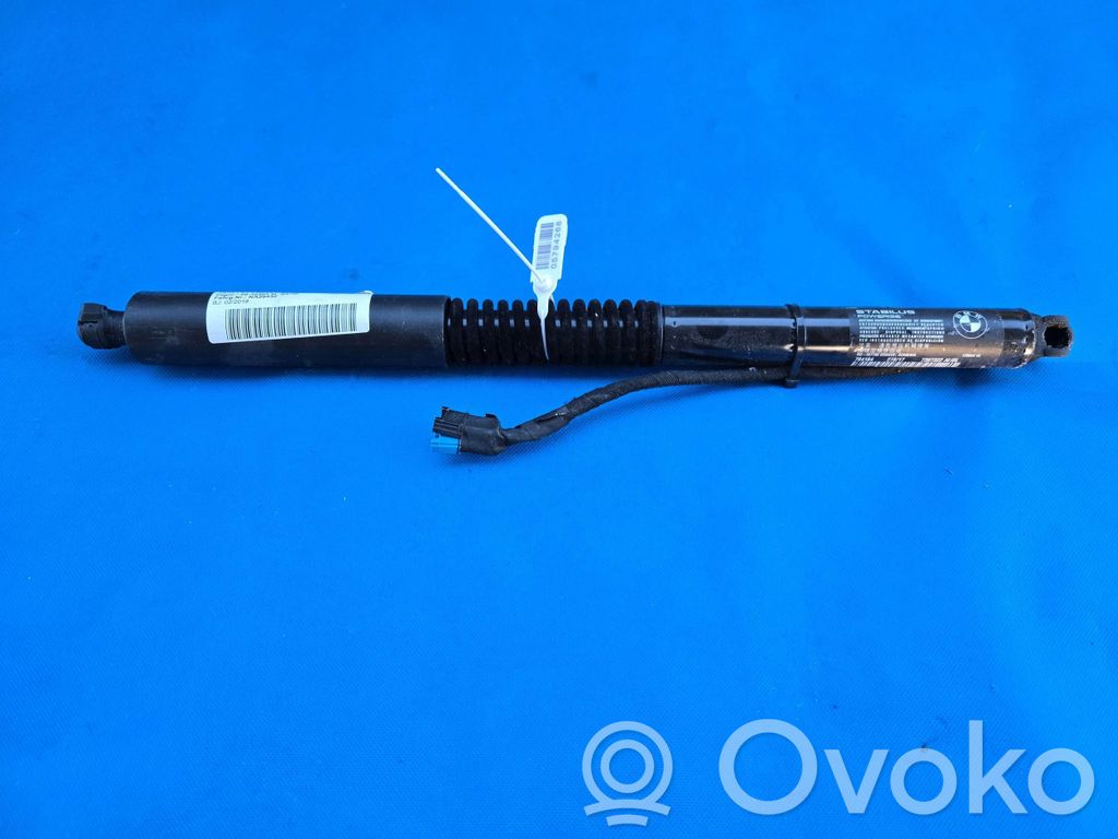 Tailgate strut   7397322