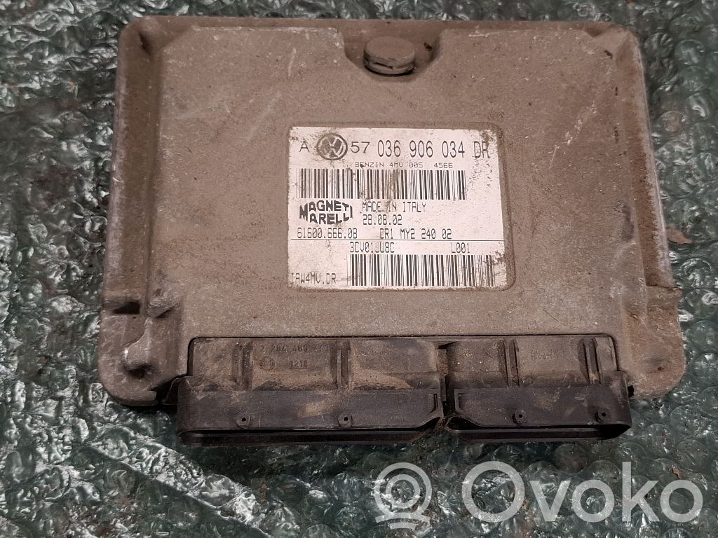 Engine control unit/module ECU   036906034DR