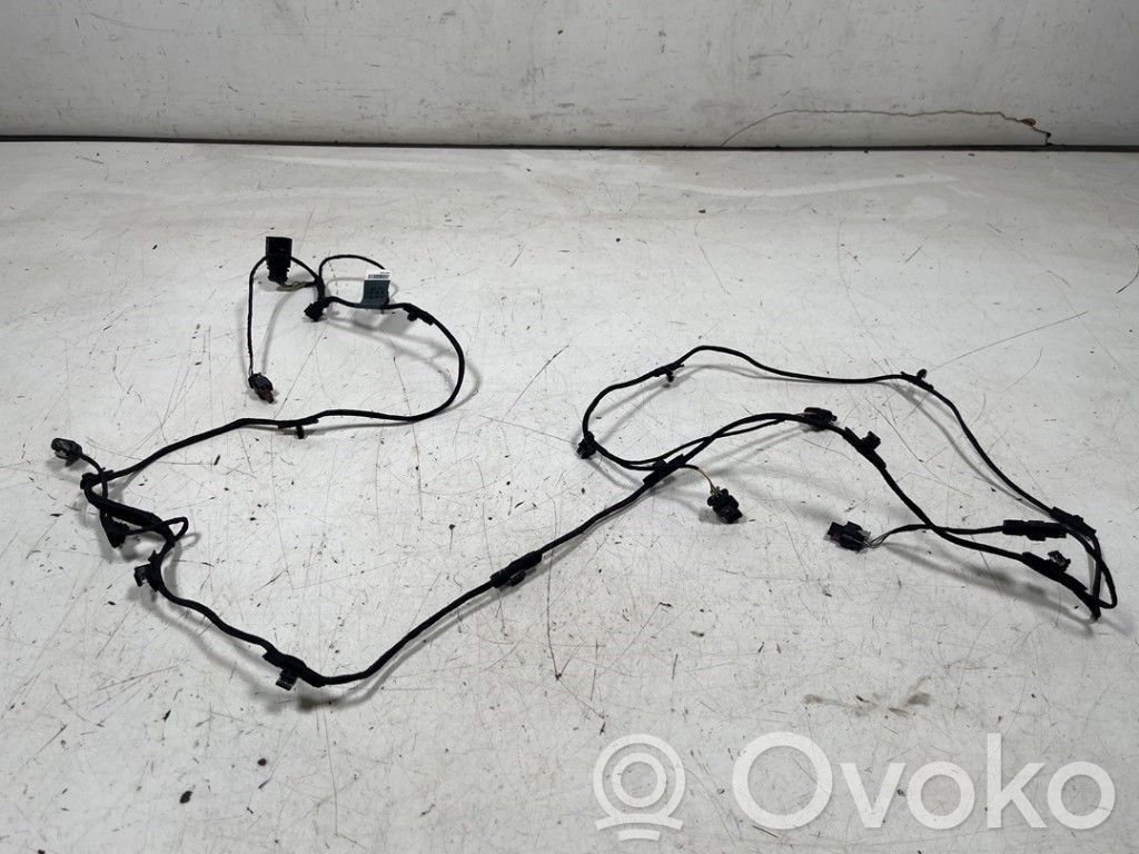 Audi S5 F5 Otros cableados 
