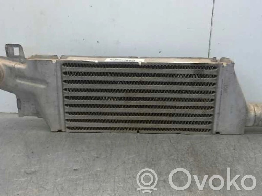 Interkūlerio radiatorius   09196705