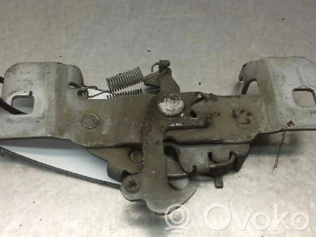 Tie down hook / loop   793443