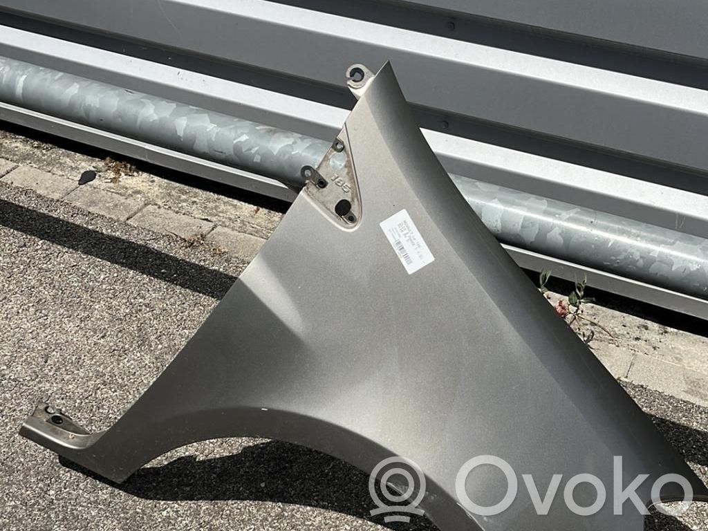 Renault Clio III Guardabarro 