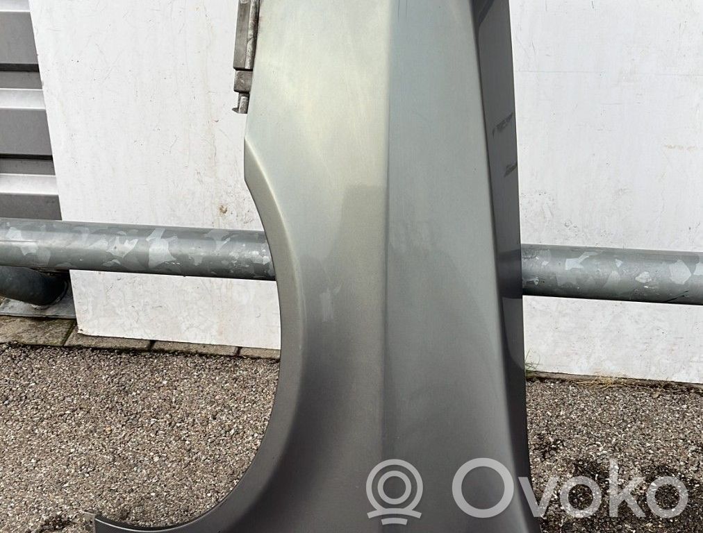 Renault Vel Satis Sparnas 