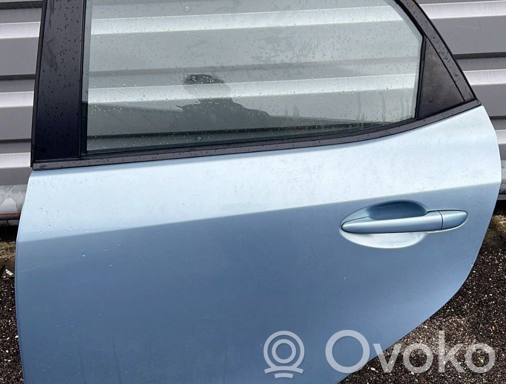Galinės durys   DFY17302XJ