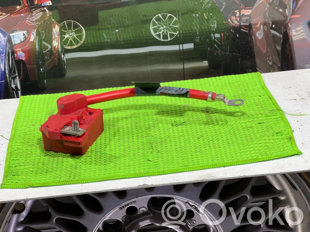 Plusa vads (akumulatora)   9130879