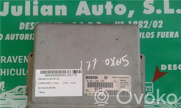 Engine control unit/module ECU   261204788,9631528780