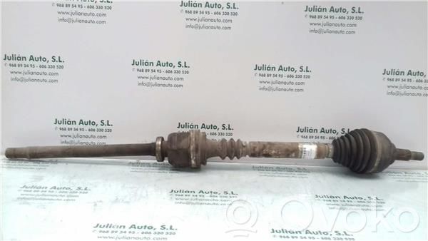 Eje delantero   8200133293