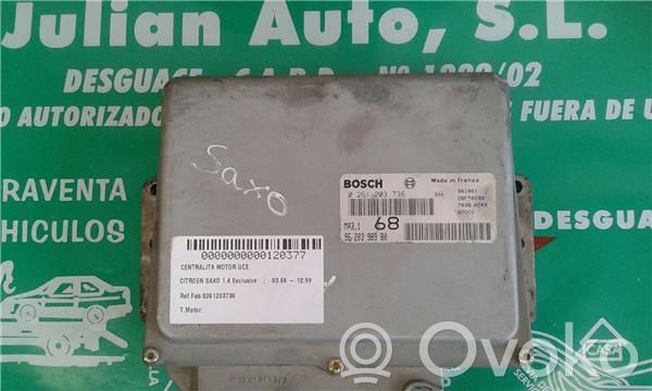 Engine control unit/module ECU   261203736,9620398980
